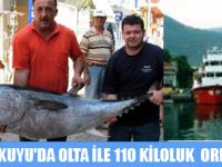 KÜÇÜKKUYU'DA OLTA İLE 110 KĞ ORKİNOS