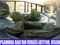 ALKOLLÜ İÇECEKLERDE VERGİ DÜZENLEMESİ