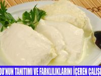 TÜRK YOĞURDUNA PATENT ALINACAK