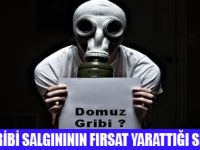DOMUZ GRİBİ KİMİN YÜZÜNÜ GÜLDÜRDÜ