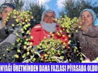 SAHTE AYVALIK ZEYTİNYAĞI PİYASALARDA