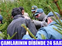 YILBAŞI AĞACI NÖBETİ