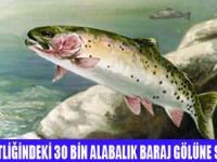 30 BİN ALABALIK SELE KAPILDI