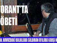 RESTORAN ÖNÜNDE AYI NÖBETİ