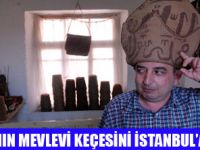 MEVLEVİ KEÇESİNİ İSTANBULDA TANITIYOR
