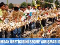 SARIMSAĞIN KRALI SEÇİLDİ
