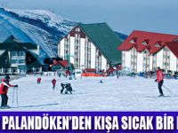 DEDEMAN PALANDÖKENDE KIŞ KAMPANYASI