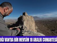 ZAMANIN TANIĞI VANDA BİR MEVSİM