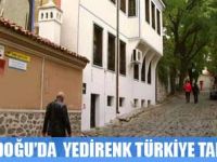 ORTADOĞU'DA YEDİRENK TÜRKİYE TANITIMI