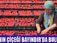 GÜL BAHÇEDE HAREKETLİLİK BAŞLADI