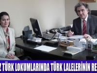 İSTANBUL AĞAÇ- PEYZAJ AŞ