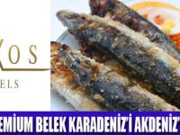 KARADENİZİN LEZZETLERİ RİXOSTA