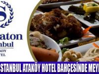 YAZ AKŞAMLARININ KEYFİ  MEY TÜRKTE