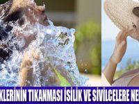 CİLTTE SİVİLCELENMEYE DİKKAT