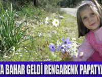 ANTALYA BAHARI YAŞAMAYA BAŞLADI