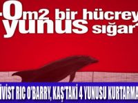 YUNUSLARA ÖZGÜRLÜK İÇİN GELDİ