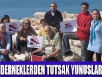 YUNUSLARA ÖZGÜRLÜK İÇİN BİRLEŞTİİLER