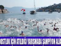 MEİSTEN KAŞA YÜZDÜLER