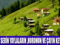 ODEON TOURS İLE KARADENİZ GEZİSİ