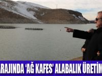 ZERNEK BARAJINDA ALABALIK ÜRETİMİ
