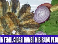 KARADENİZ MUTFAĞI VE VAZGEÇİLMEZLERİ