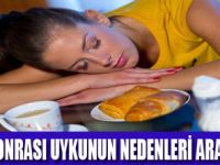 YEMEKTEN SONRA NEDEN UYUMAK İSTERİZ ?