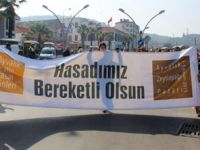 ŞENLİĞİN SLOGANI ZEYTİNYAĞI HAYAT BAĞI