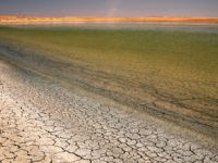 Türkiye’de Su Arzı Ve Su Kirliliği Riski Sürüyor