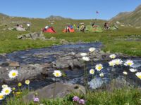 Rimer’den Kaçkar Zirvesi