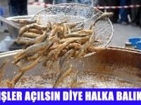REİS BALIKÇILIKTAN HALKA BALIK EKMEK