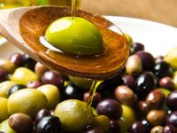 Gezgindamaklar ile Ayvalik Zeytin Hasadı Festivali