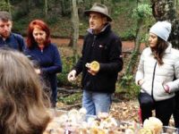 Belgrad Ormanı’nda keşif ve heyecan