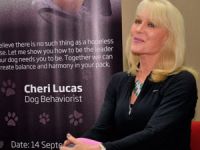 Köpeklerin terk edilmesindeki en büyük neden köpeklerden önce ailelerin eğitimsizliği