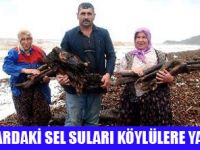 SEL SULARI AĞAÇLARI DENİZE SÜRÜKLEDİ