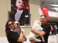 Hayvanseverlerin tatile çıktıklarında köpeklerini bırakabilecekleri artık bir otel var