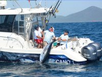 Didim Açık Deniz Sportif Balık Avı Yarışması,  D-Marin Ev Sahipliğinde Yapılıyor