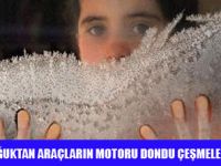 DOĞUDA BEYAZ ÇİLE