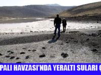 KONYA YAKINDA ÇÖLE DÖNECEK