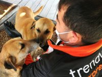 Trendyol HAYTAP iş birliğinde 3 ton mama dağıttı