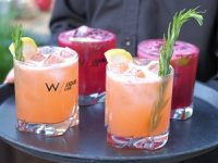 W Istanbul; şehrin kalbindeki gizli bahçesi