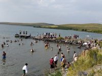 Kışın Kızak Yazın Yüzüyorlar