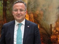 Orman alanlarını korumak için 7 öneri