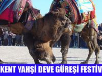 BODRUM'DA DEVE GÜREŞİ