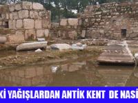 TRALLES SULAR ALTINDA