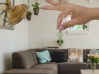 Turizm Amaçlı Konut Kiralama Resmi Gazete Duyurusu Hakkında Bilgilendirme