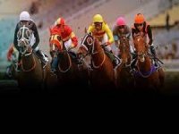 Kesintisiz At Yarışı Keyfi