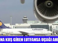 LUTFANSA AHL'YE ACİL İNİŞ YAPTI