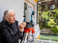 Jane Goodall İstanbul’un Yaban Hayatı ile Buluştu