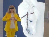 İSTANBUL HORSE SHOW’DA ASİL TAY FARKI