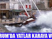 BODRUM'DA LODOS HAYATI FELÇ ETTİ